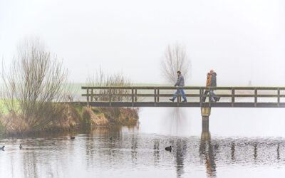 Ik moet de laatste tijd steeds aan dieren denken